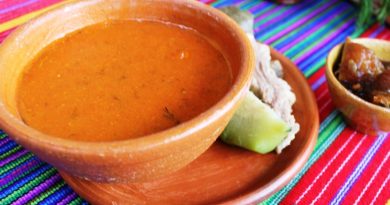 delicioso platillo de comida típica guatemalteca llamado pulique