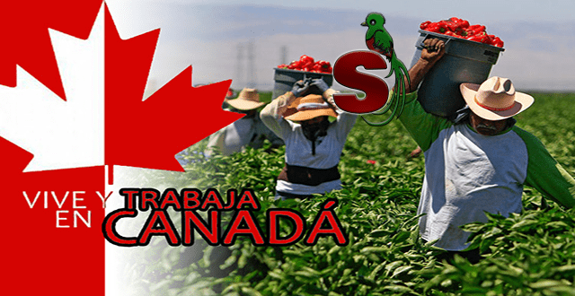 Imagen de personas que trabajan en Canadá