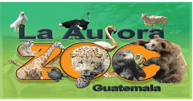 zoologico la aurora Zoológico la Aurora contratará Cajero (a) de Fin de Semana en Guatemala, ponte las pilas y APLICA YA.