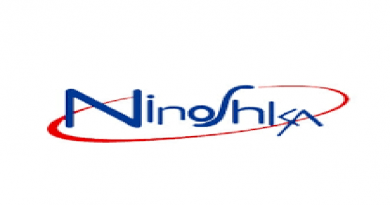 Logotipo de la empresa Ninoshka S.A.