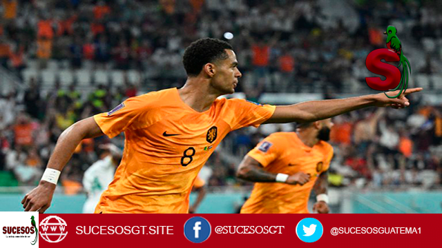 Senegal vrs Holanda Holanda derrotó a su similar africano