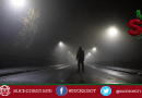 La maldición de la Ceiba: la leyenda más oscura que atormenta a la zona 6 de Guatemala fotografía ilustrativa para la leyenda La maldición de la Ceiba