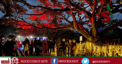 imagen de gente paseando durante las noches de luna en el zoológico la aurora.