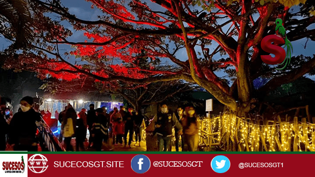 imagen de gente paseando durante las noches de luna en el zoológico la aurora.