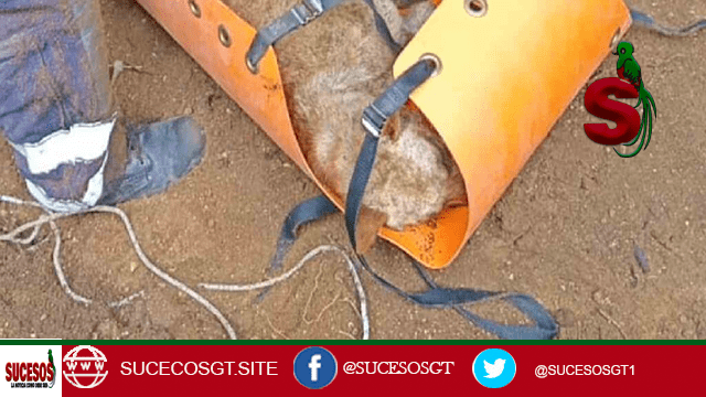 Entre lágrimas y dolor: vecina de Villa Nueva y su mascota mueren juntas durante derrumbe provocado por los sismos 3 perro murio soterrado junto duena barcena 1024x530 1 La comunidad de El Tablón, en Bárcena, Villa Nueva, vive momentos de luto tras confirmarse el fallecimiento de Regina López Velásquez, vecina muy querida, que perdió la vida junto a su perrita durante los sismos que sacudieron el país.