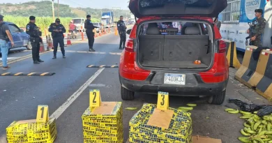Operativo k-9 en escuintla da resultados