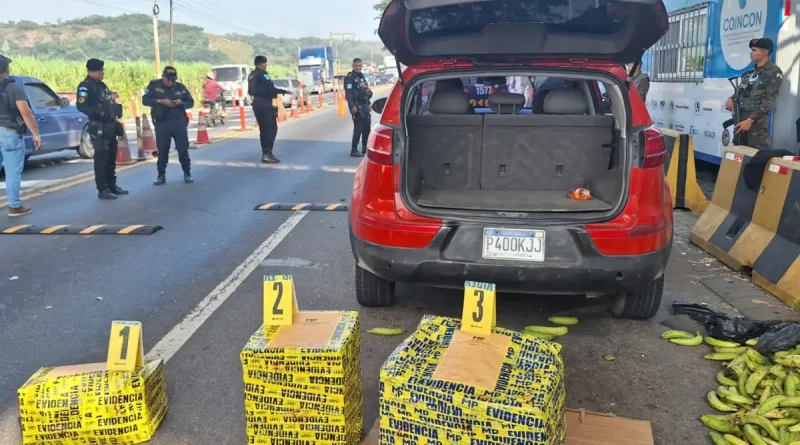 Operativo k-9 en escuintla da resultados