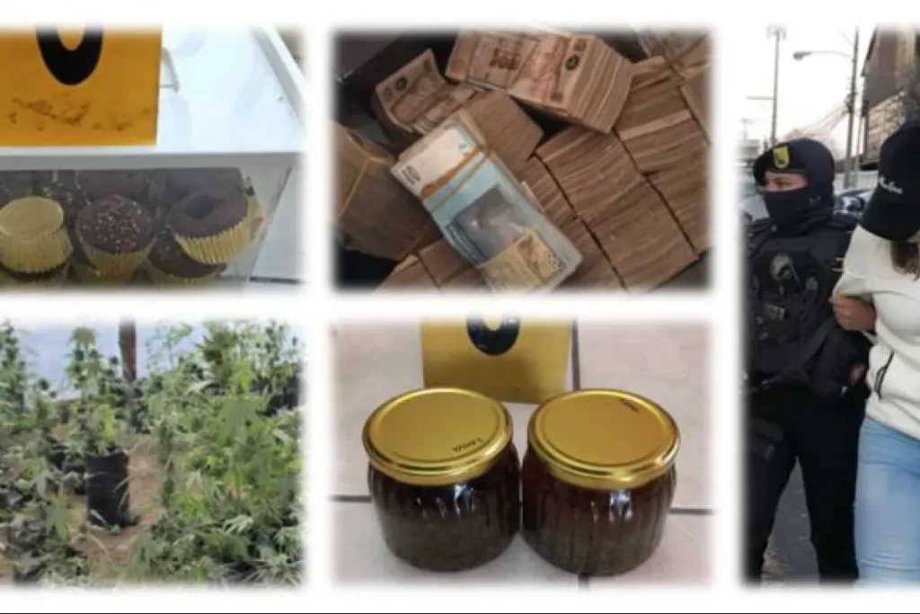 Desarticulan red de narco-repostería: 12 capturados y decomiso de Q1.2 millones en operativos 1 Narco reposterria En una operación relámpago denominada "Narco Repostería", las fuerzas de seguridad de Guatemala desmantelaron una sofisticada estructura criminal que distribuía estupefacientes ocultos en productos de pastelería. El operativo, coordinado por la Subdirección General de Análisis de Información Antinarcótica (SGAIA) y el Ministerio Público (MP), resultó en la captura de 12 personas y la incautación de una millonaria suma en efectivo.