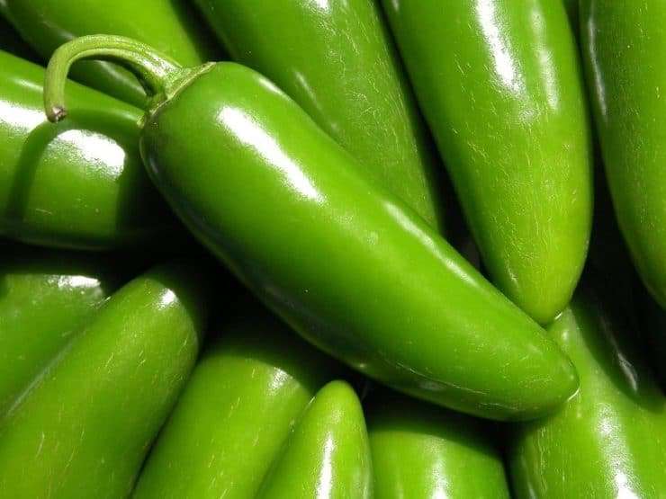 ¿Sabías qué? El chile jalapeño puede aportar varios beneficios a tu organismo 2 How to Roast Jalapenos El chile jalapeño es mucho más que un ingrediente utilizado para darle un toque picante a las comidas. Este pequeño chile verde, muy popular en la gastronomía mexicana y centroamericana, contiene vitamina C, vitamina A, antioxidantes y capsaicina, un compuesto natural responsable de su característico picor.